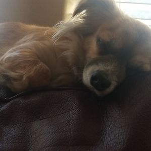 Meet your Posher, Donroberto